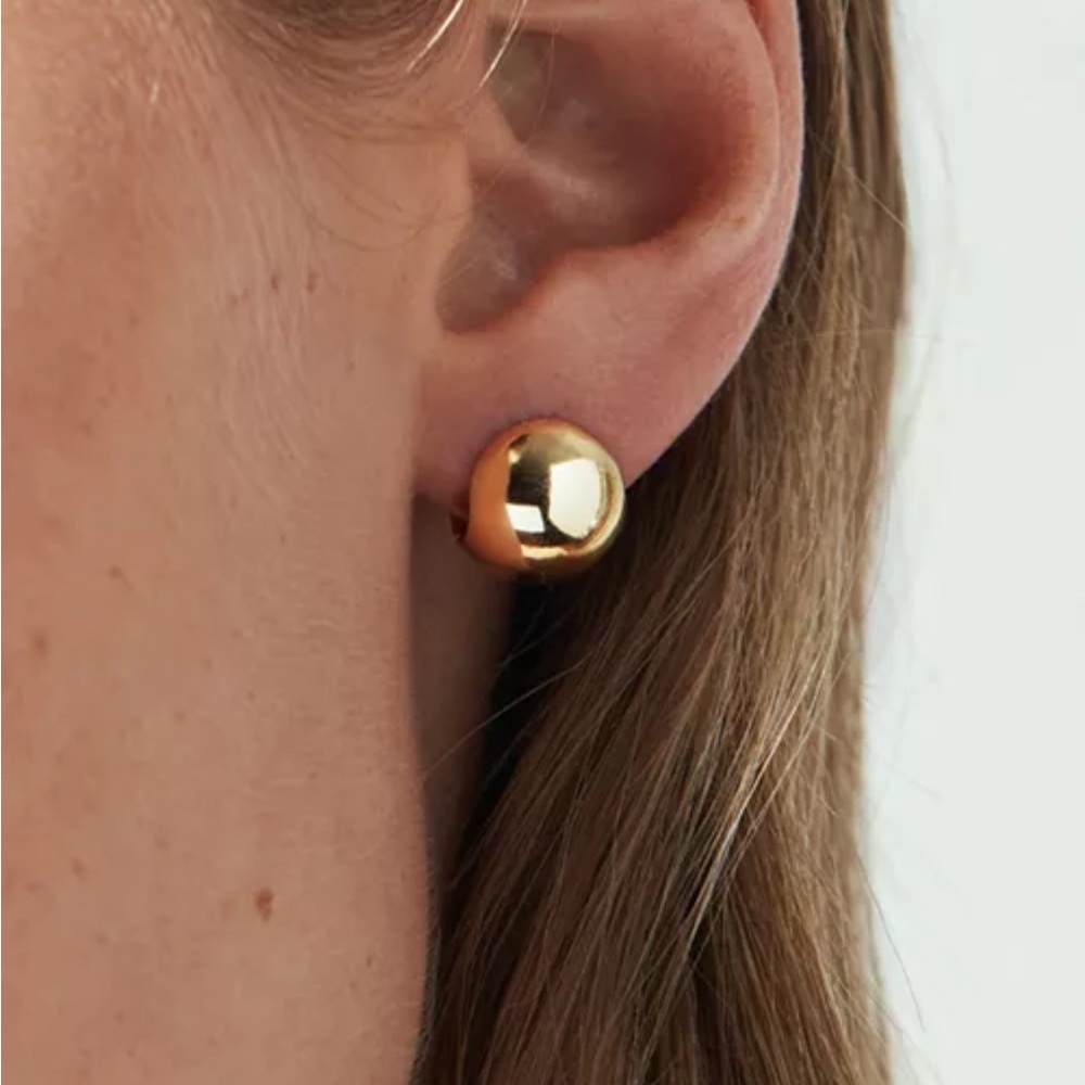 Ana Luisa Hoop Earrings